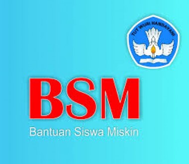 bsm